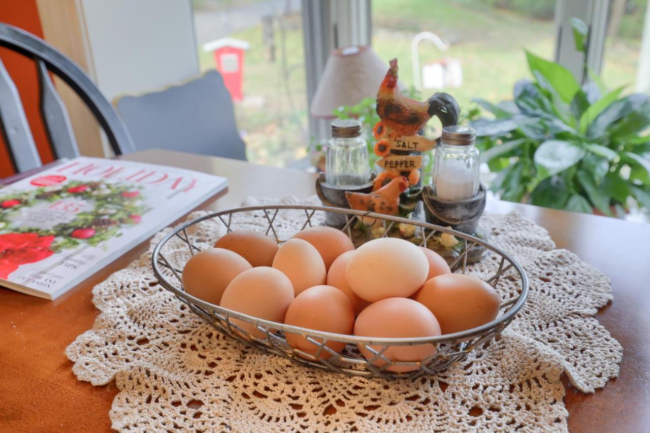 Hammer Creek Hideaway B&B Lititz Eksteriør bilde